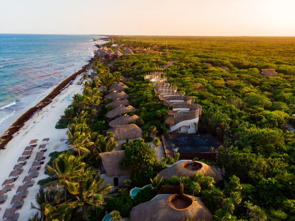 Tulum Properties | Eco-Friendly Condos & Investment Opportunities Tulum jungle and beachfront real estate with eco-conscious design
